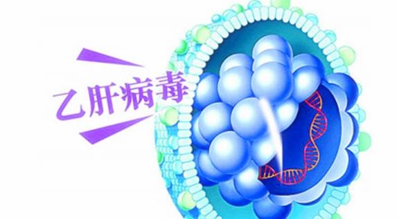 免疫力|乙肝病毒携带者可以活多长时间？你的理解真的对吗？看专家的理解