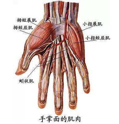 孩子字写不好,是小肌肉群没得到锻炼,机器人课程来帮忙_编程_部位