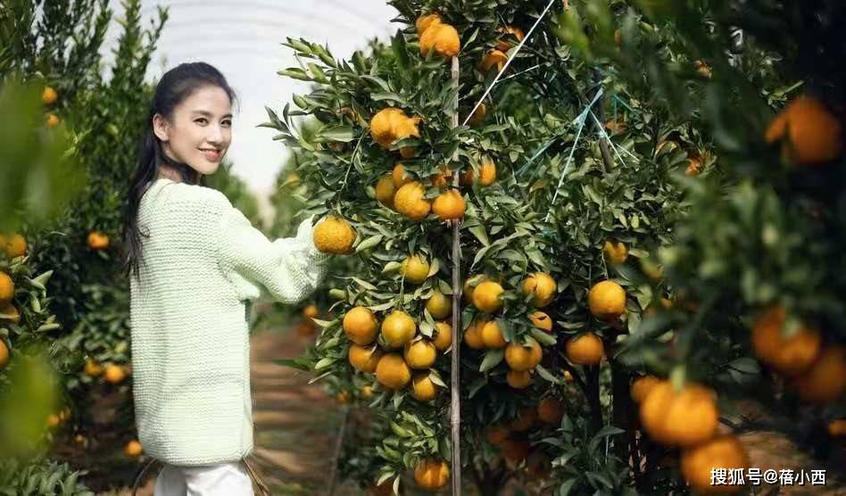 毛衣 难怪黄圣依能嫁入豪门，穿紫色毛绒外套甜美又少女，看着最多20岁