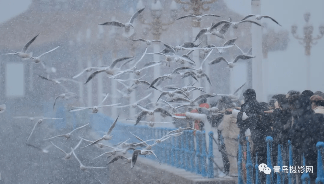 柳絮|一月一题 | 雪，让这个世界变得温柔而浪漫