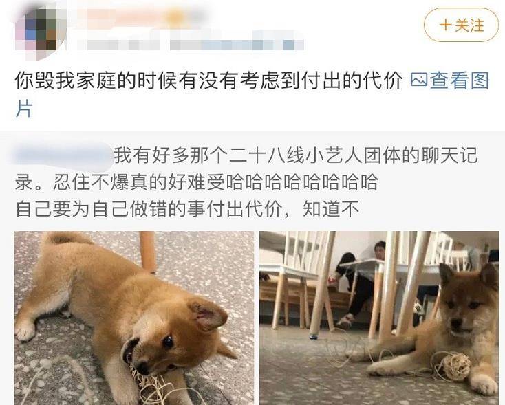 青你2变 青春老娘舅 有人cos小松菜奈成瘾 有人21岁做小三 申冰 网友 节目