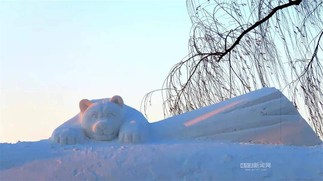 冰灯|又上新了！江畔美景一天一个样，冰雪美景抢先看！