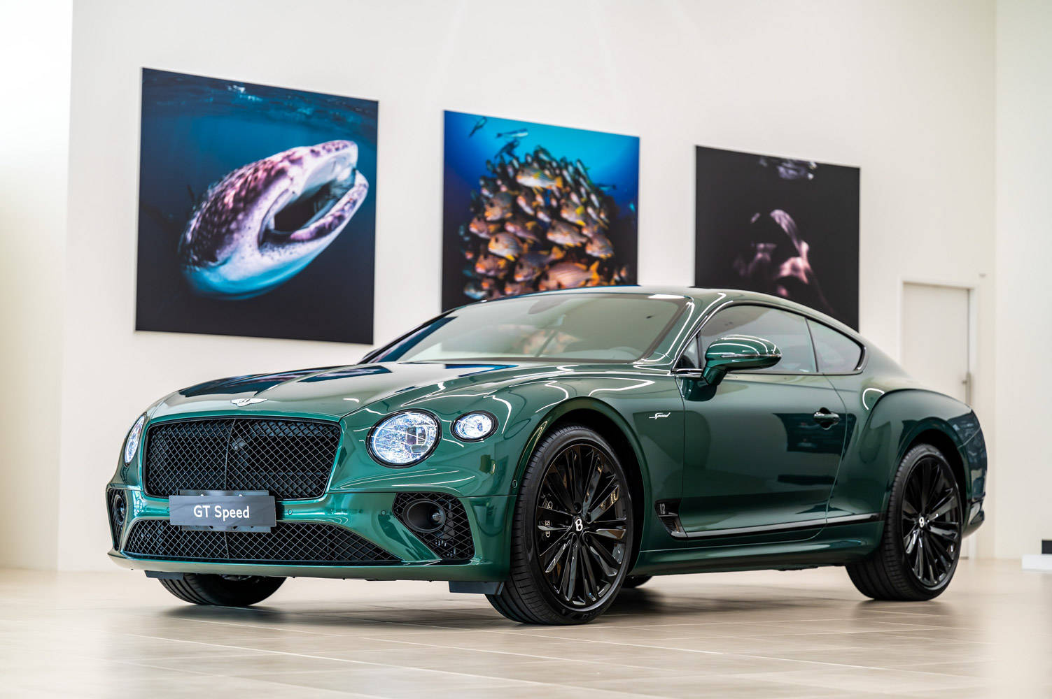 宾利展现英式工艺美感推出最新欧陆gtspeed