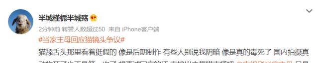 白猫|《当家主母》小白猫惨死，剧组发声明回应，网友为何却不认同？