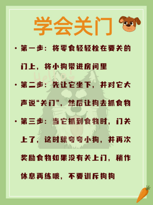 厕所如何科学训狗——定点厕所、握手、关门