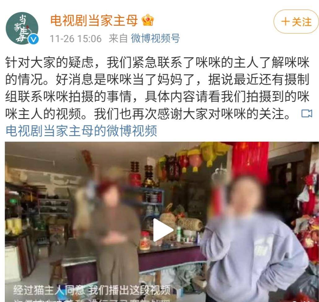 白猫|《当家主母》疑毒杀猫，官方解释太苍白，网友：这不是第一次了