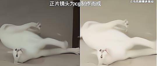 白猫|《当家主母》小白猫惨死，剧组发声明回应，网友为何却不认同？