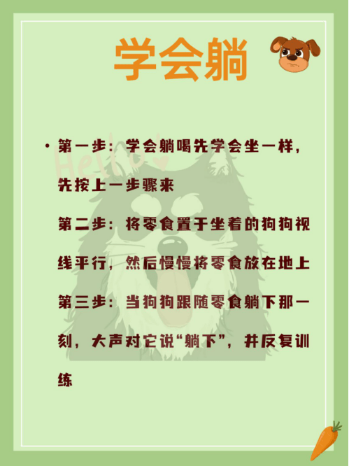 厕所如何科学训狗——定点厕所、握手、关门