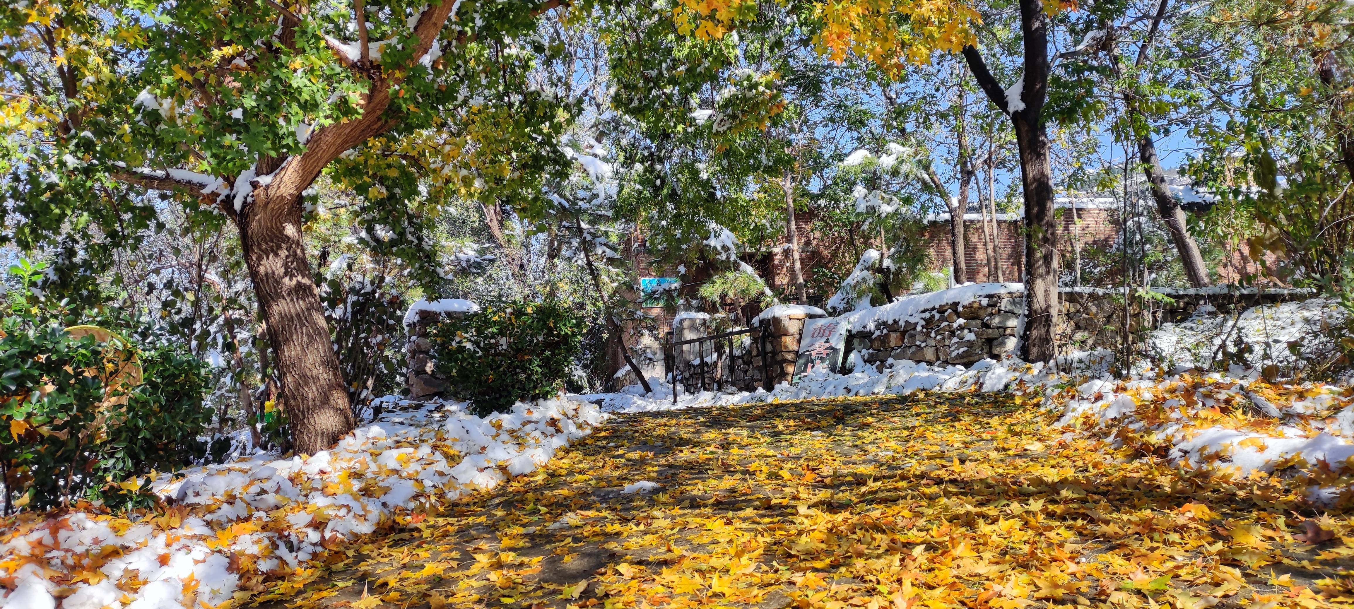 雪地|医护人员及家属免费游园！济南石崮寨景区亲子戏雪庄园盛大开业