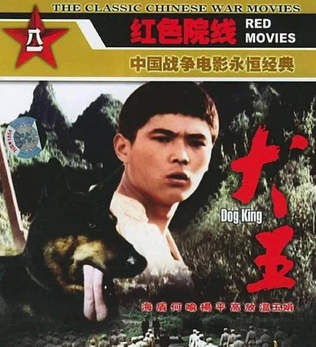 猫咪|《当家主母》疑毒死真猫,画面太真实引争议,剧组澄清毫无说服力