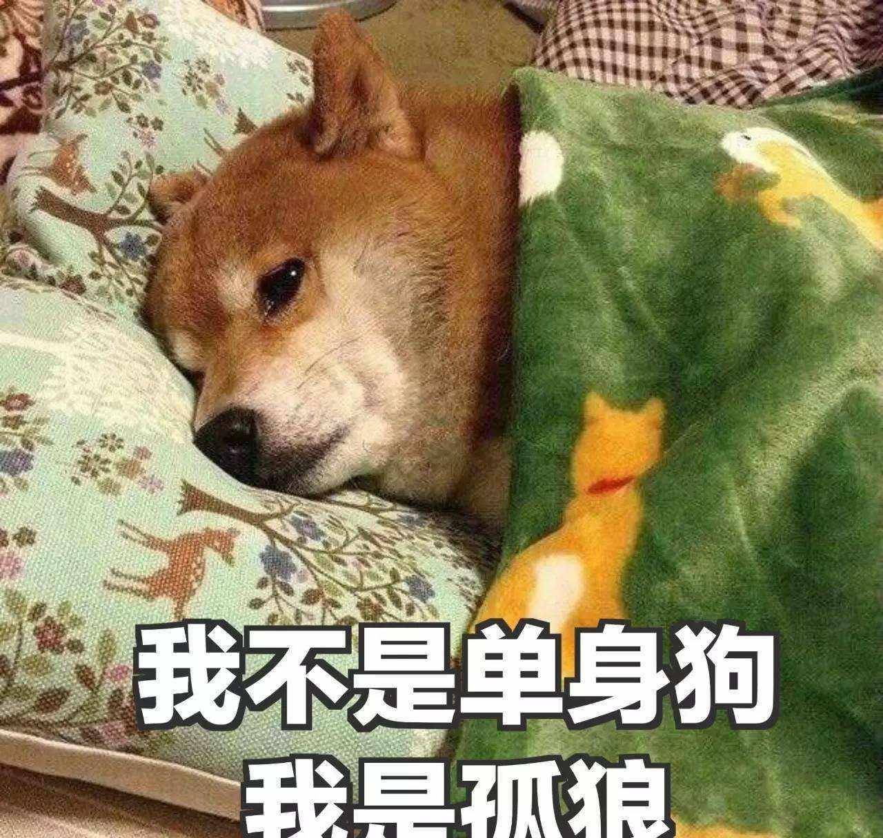 445e51a4a73f4891be6b97a0ffebc4ea.jpeg