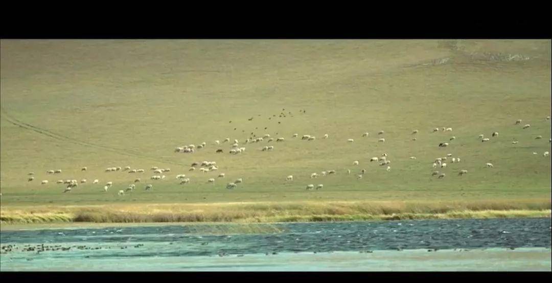 原著|妹纸,谈恋爱吗?灭你全族的那种