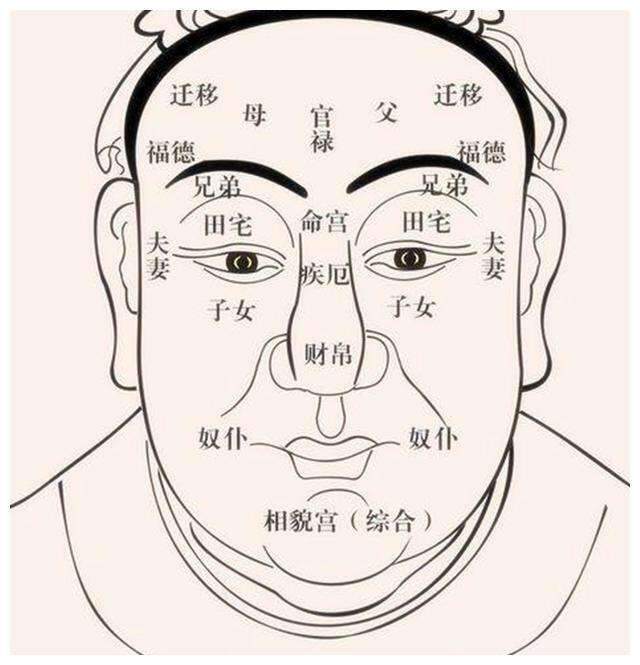 452c7b320c97413180e3cf8839c34cdc.jpeg