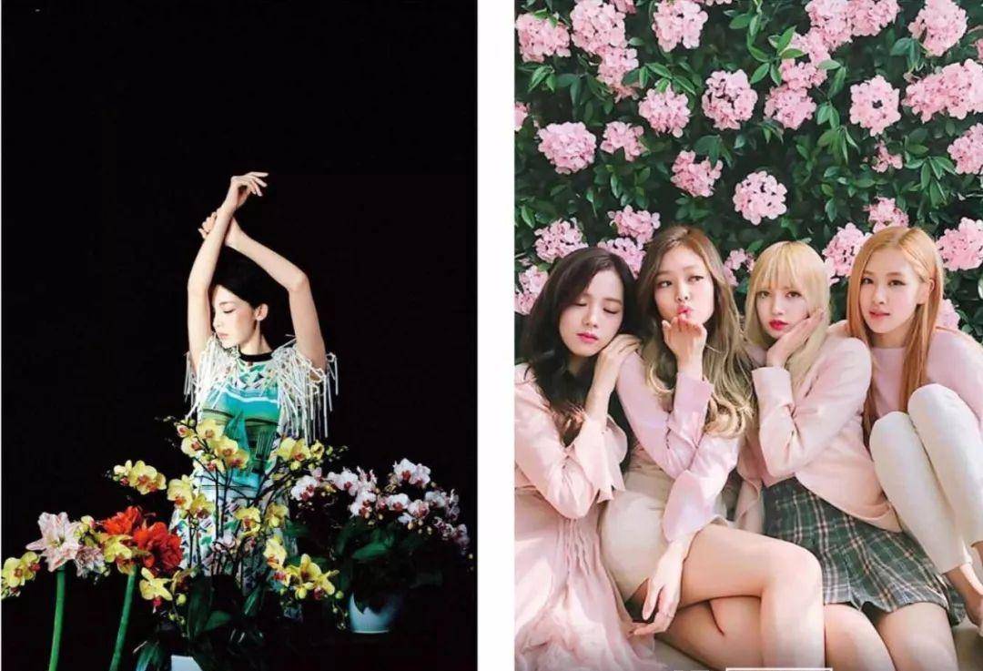 主体同样的春日与花合影，为什么刘亦菲是仙子而杨幂是网红？