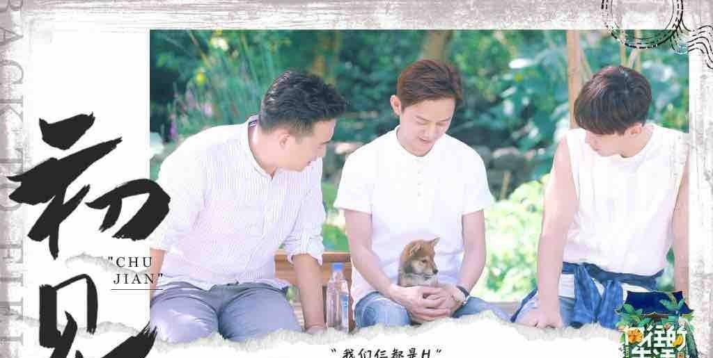 治愈|为何说《向往的生活》的“慢美学”，是治愈“打工人”的心灵鸡汤