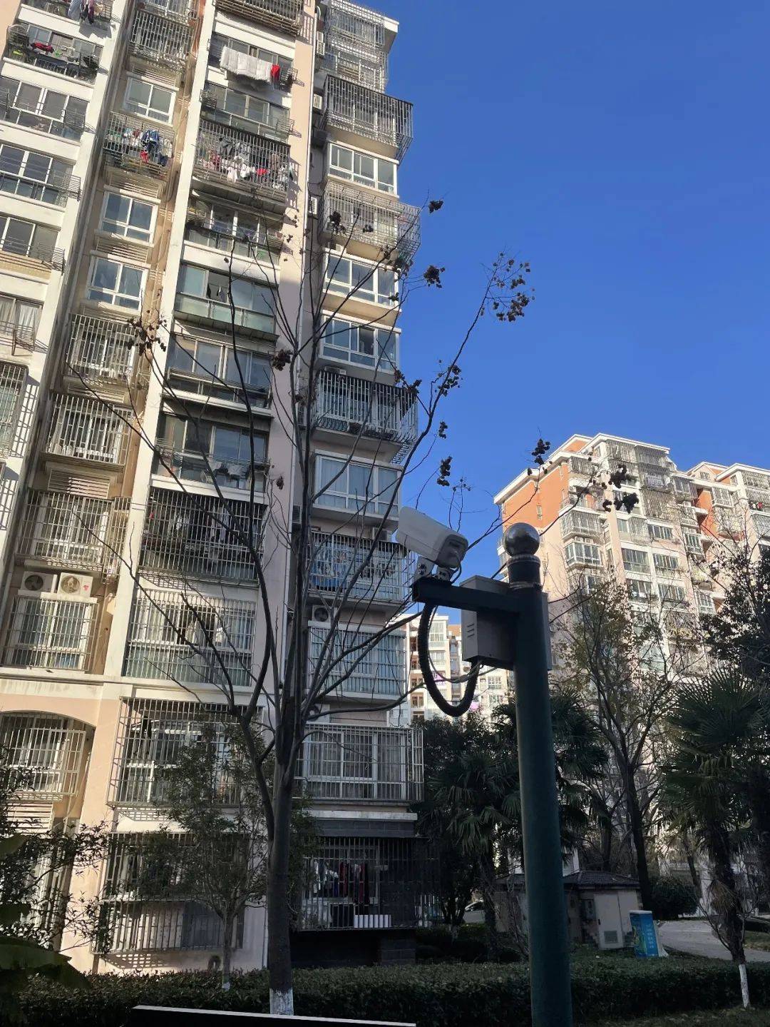 文章配图-6