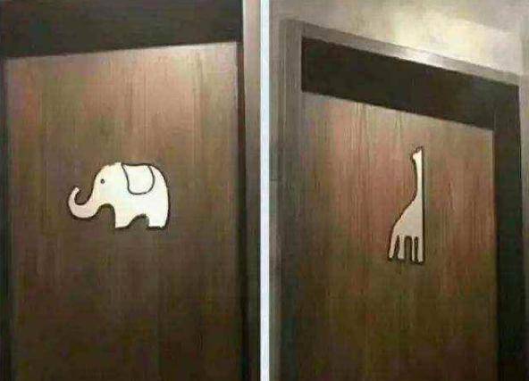 外出游玩上厕所时，厕所门上标志是大象和长颈鹿，如何区分男女？看不懂憋着