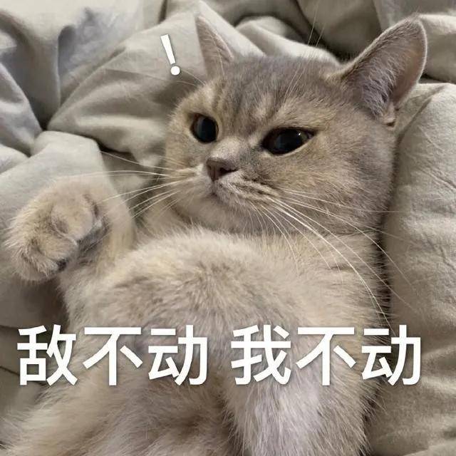 圣斗士都被黑成这样，还想「洗白」?