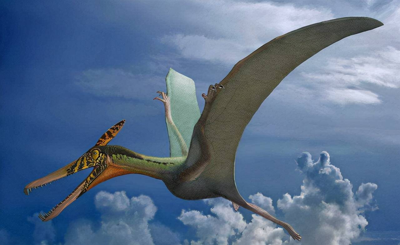 原创为什么鸟类在恐龙灭绝时幸存下来而同样会飞的翼龙却不行