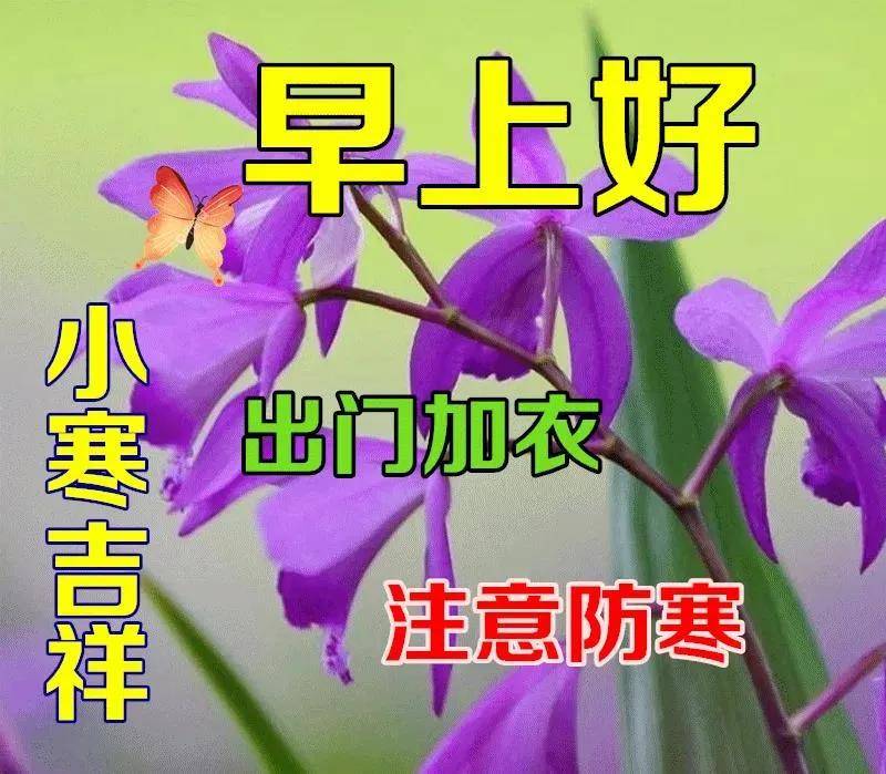 原创2022年1月5日星期三小寒清晨早上好问候祝福图片小寒最新早安问候