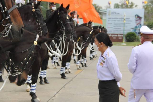 拉隆 泰国神兽公主新年首次亮相！裹包臀裙大秀凹凸身材，窄腰翘臀好迷人