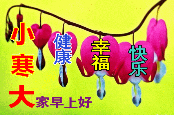 2022年小寒早上好最美动态图片带字问候语句免打字小寒图片带字祝福语