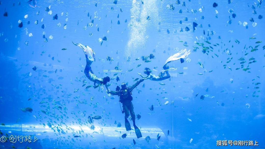 原创             海南富力海洋欢乐世界，拥有1500余种、4万余只海洋生物