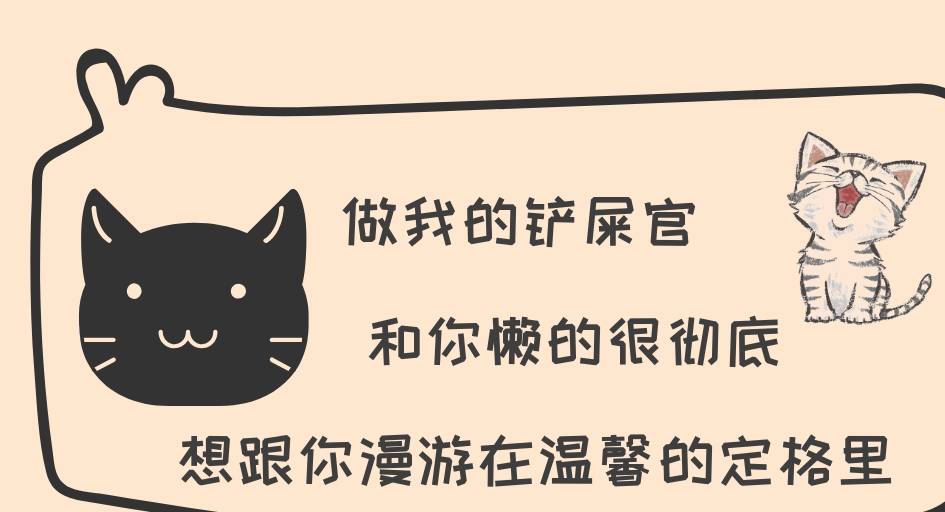 智商狸花猫最大的缺点，很多人无法忍受，喜欢的人却更爱不释手