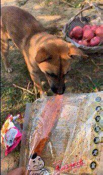 白大褂|搞笑GIF：铁锅烤五花肉，这不比自助烤肉差吧