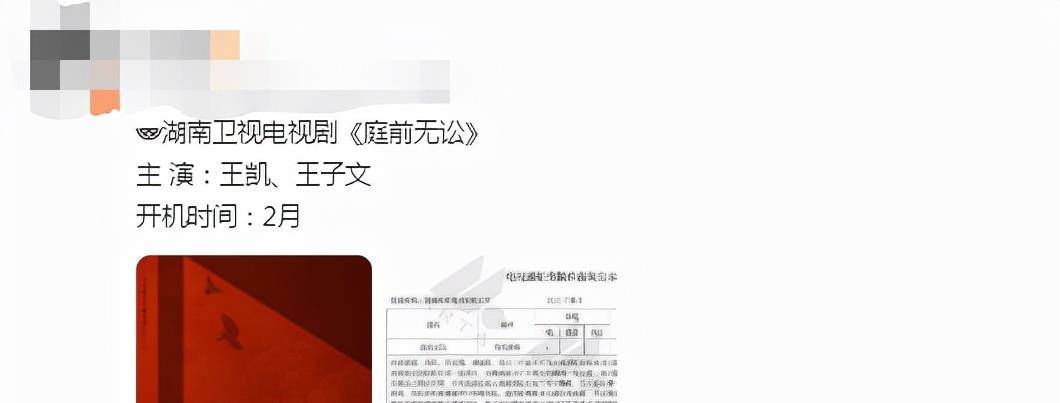 曲筱|王凯、王子文即将三搭，弥补《欢乐颂》的遗憾，看到题材追定了！