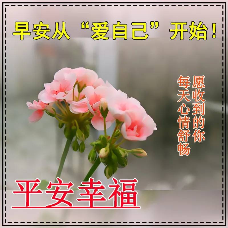 92c4129340f14005bad62b0663d9bc9c.jpeg