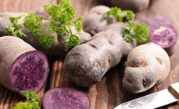 吃什么东西最能大便畅通 8e412e2345974df498982d899c45c544.jpeg