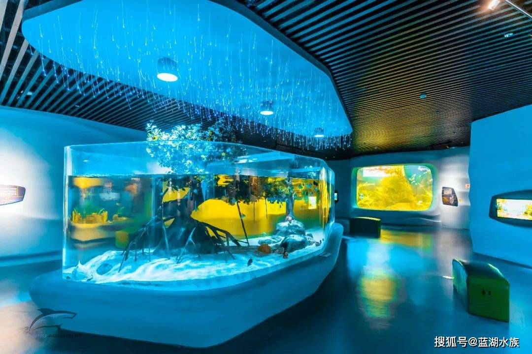 天津国家海洋博物馆竣工_浮游生物_珊瑚_水母