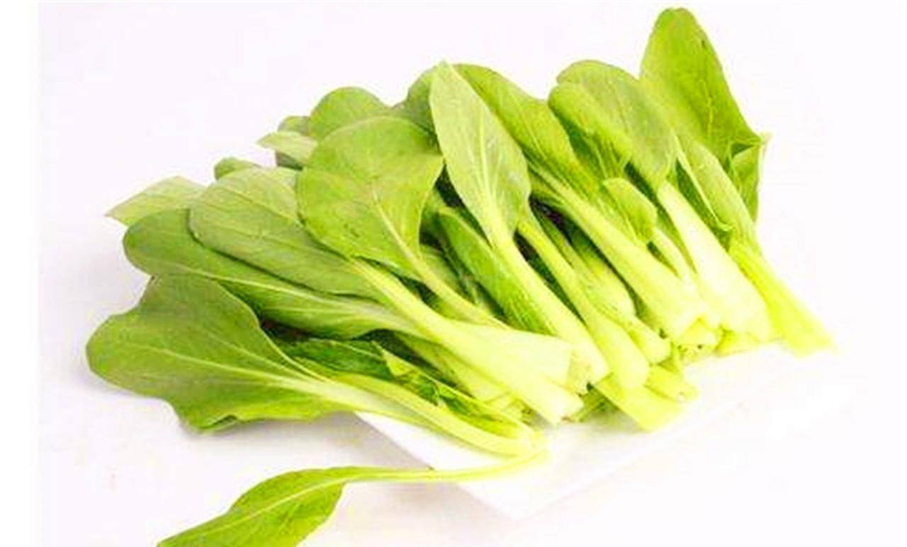 现在能种小白菜和青菜吗 d67fca1b29b74f178d7431895431d525.jpeg