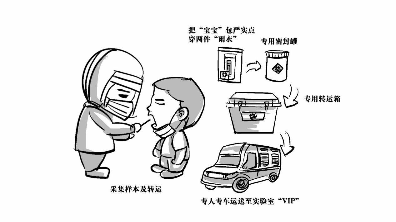 检测|一张核酸检测报告是这样出炉的！