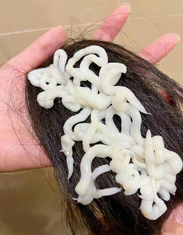 洗头最近流行的倒叙洗头法：先用护发素，再用洗发水，效果究竟如何？