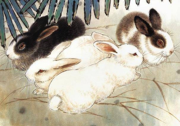 兔子可以吃什么水果和蔬菜 8385df0a241d4c38b2b049b6225459c8.jpeg