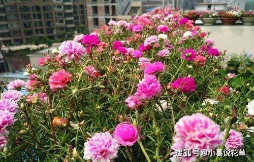 c2a0e782862f4141a6eb5aecd2417aba.jpeg