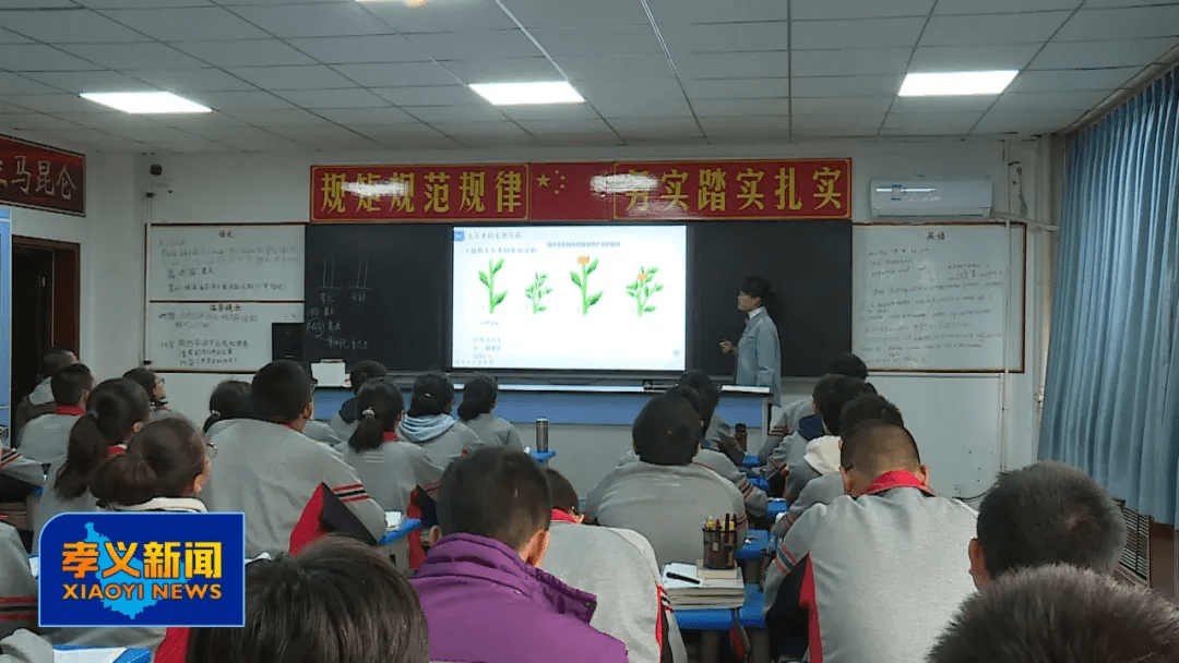 实验|朱晓丽：学科建设的攀登者