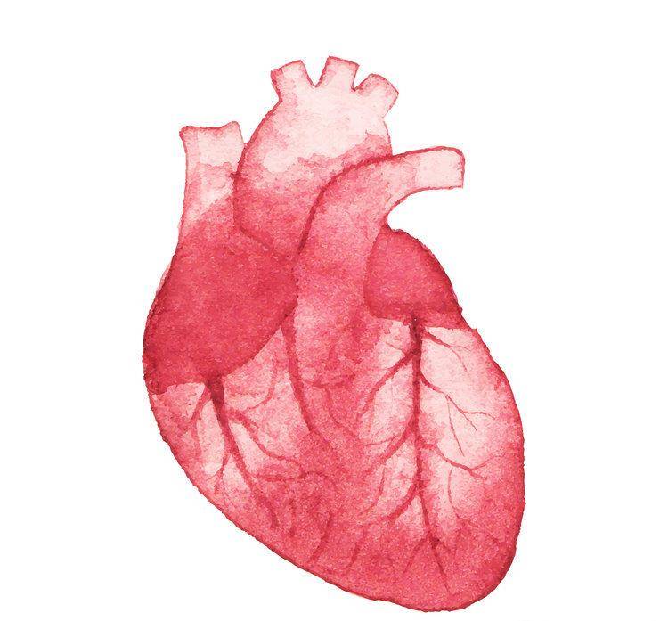 什么是动脉介入 ee4ce8d982494458808f590b2da699e9.jpeg