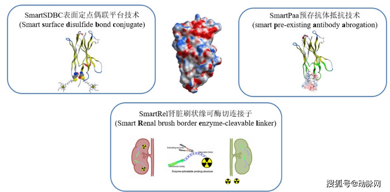 智核生物smartsdbc,smartapa,smartrel三大技術平臺