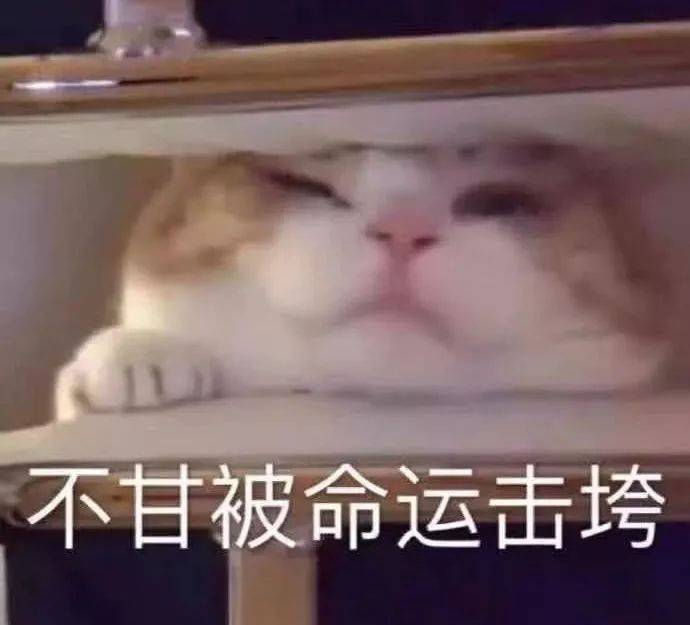 大衣 大衣＋阔腿裤、西装＋长裙…新年场景穿搭，教你轻松应付各种场合！