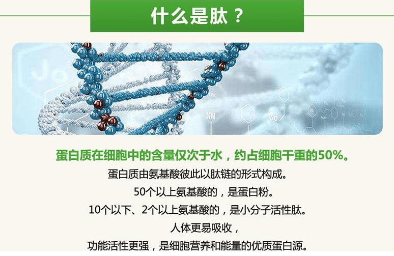 的作用精氨酸赖氨酸多肽是芋螺肽吗？十大最有效抗衰老成分（内行分享）