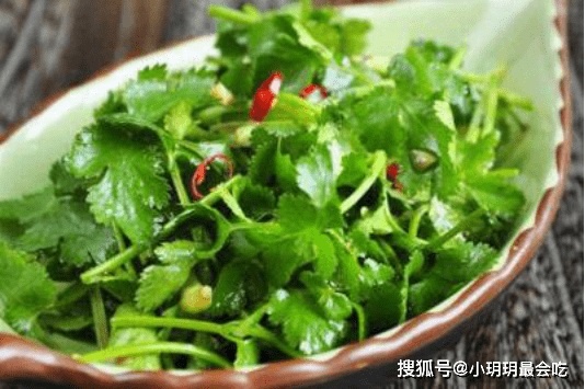 香菜怎么炒着才好吃 02272a7ab70144cfa6fcb9ba3670c5bc.png