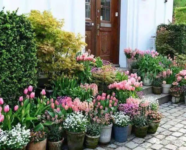 花园风格的重要组成部分 植物风格 该如何搭配呢 种植 观赏性 色彩