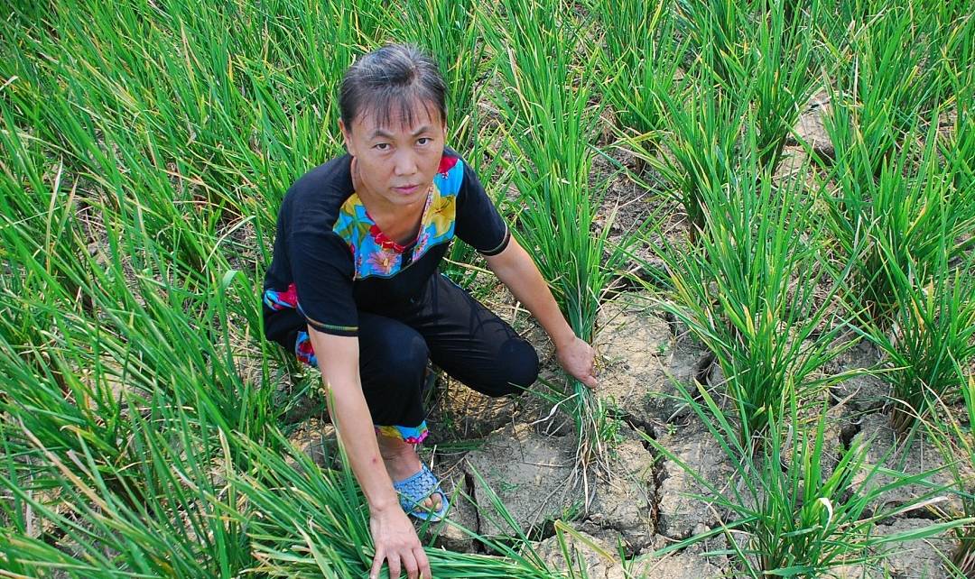 饮水量|50岁后，寿命较“短”的人，往往都有6个“共性”，男女都一样