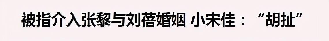 刘蓓|小宋佳：介入刘蓓婚姻，却拒嫁张黎，转身投入音乐才子的怀抱