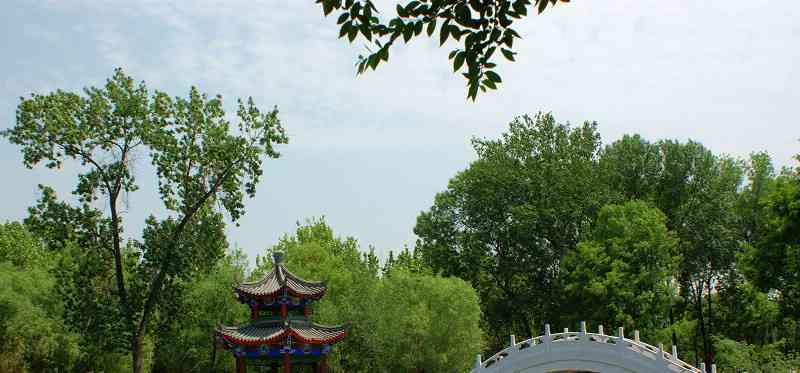 可与西湖争辉的公园，是个消暑的好去处，不要门票就在天津