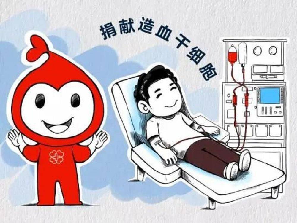 捐献造血干细胞用生命影响生命