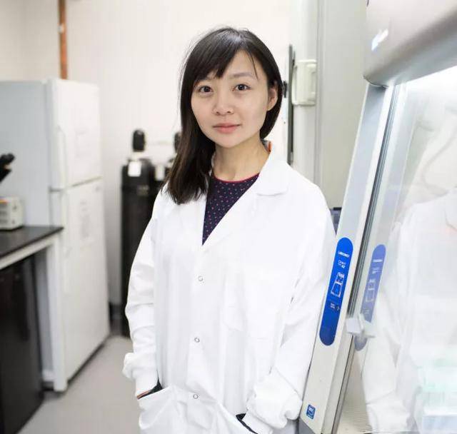 猪心移植人体背后：36岁哈佛华裔女学霸杨璐菡敲除猪致病基因